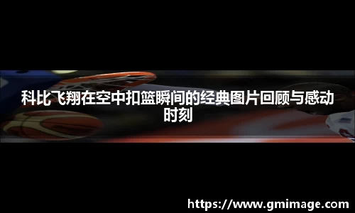多宝体育手机最新版本