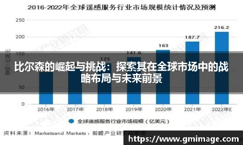比尔森的崛起与挑战：探索其在全球市场中的战略布局与未来前景