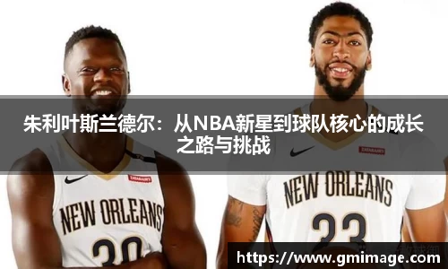 朱利叶斯兰德尔：从NBA新星到球队核心的成长之路与挑战